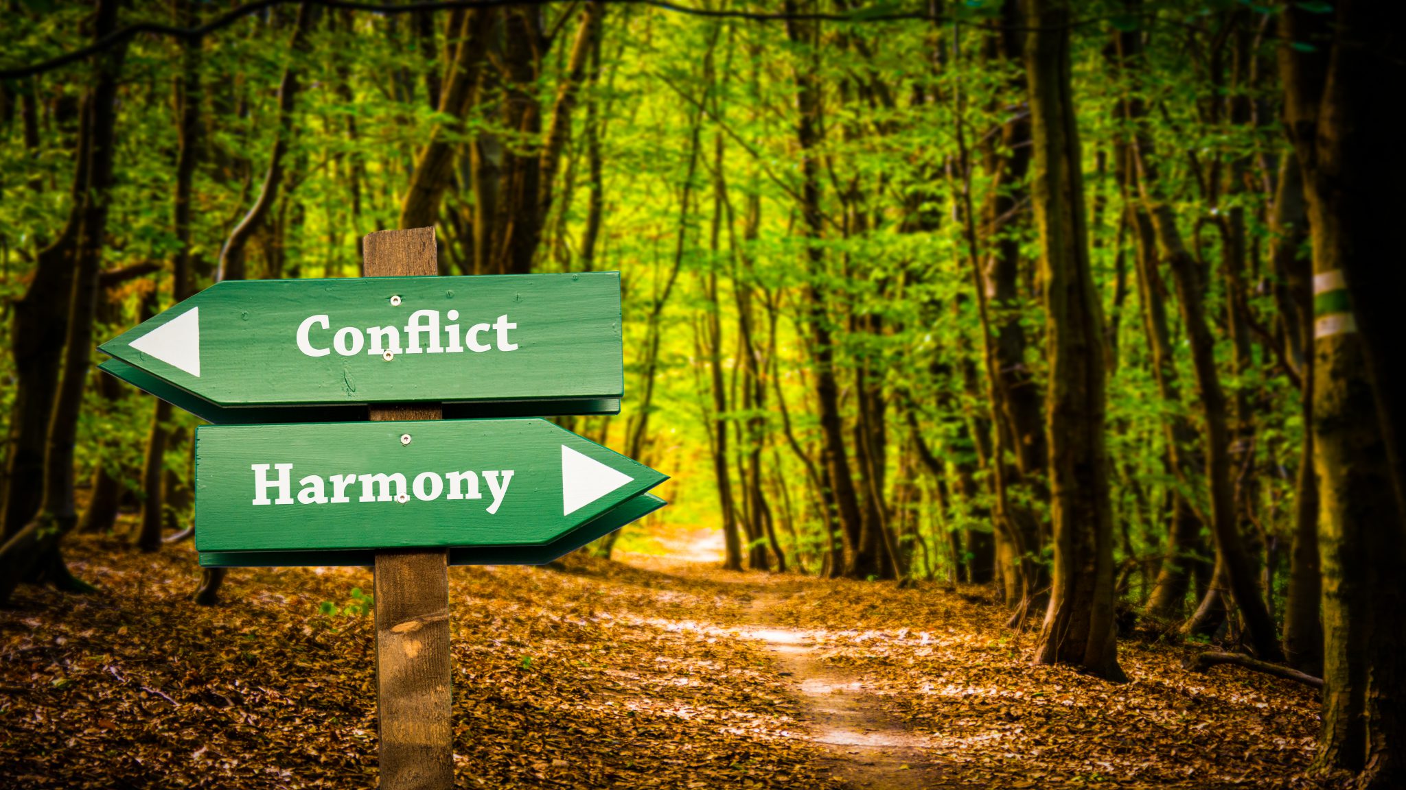 Street,The,Direction,Way,To,Harmony,Versus,Conflict
